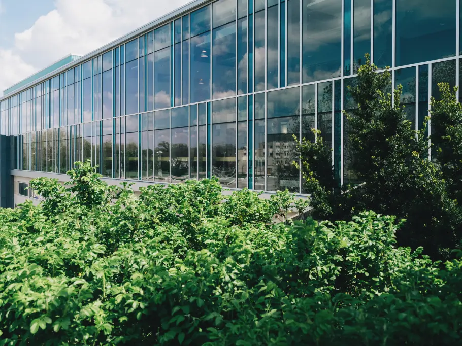 Glass building with green trees covering the bottom right side 